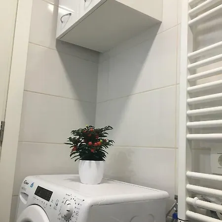 Narnia * 斯普利特